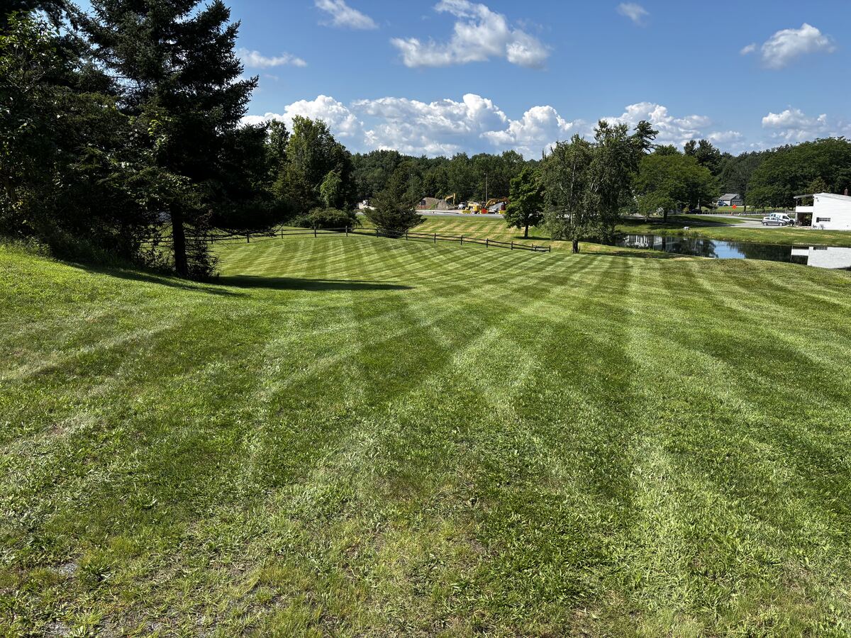 Wide striped lawn beside a pond